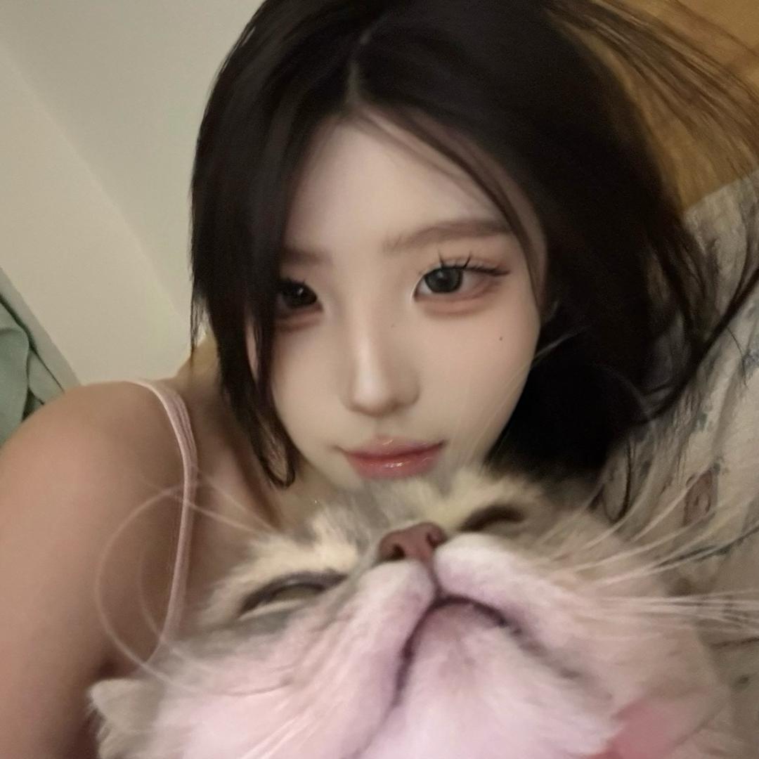 猫猫🐱
