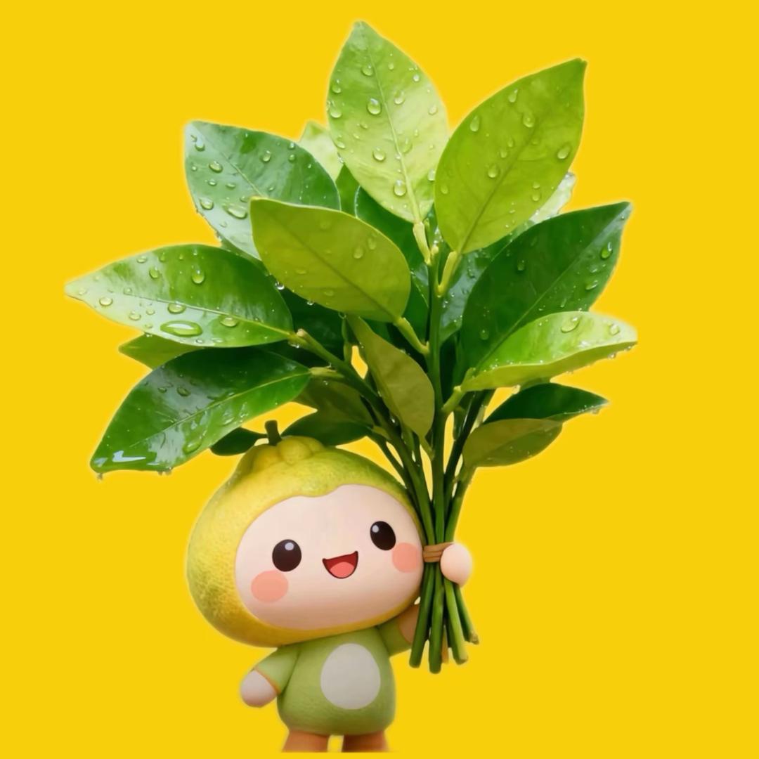 🌸玫瑰R🇨🇳