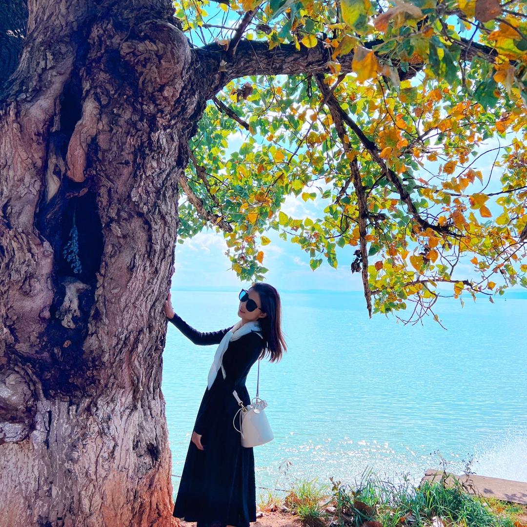 恩倪的阳台小菜园