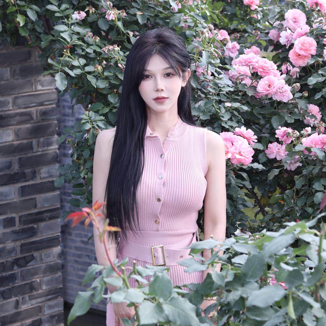 云南山药西施