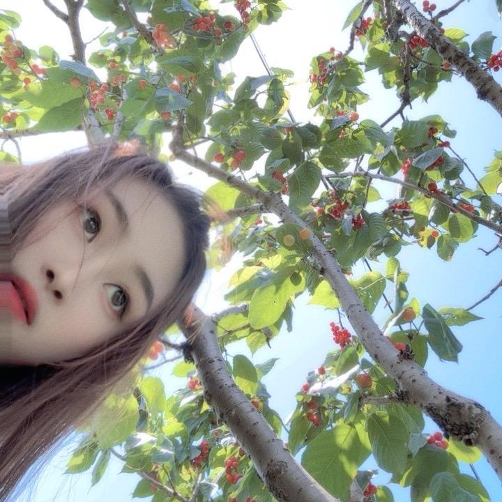 ❀ 🥀⃟釋᭄懷ꦻ