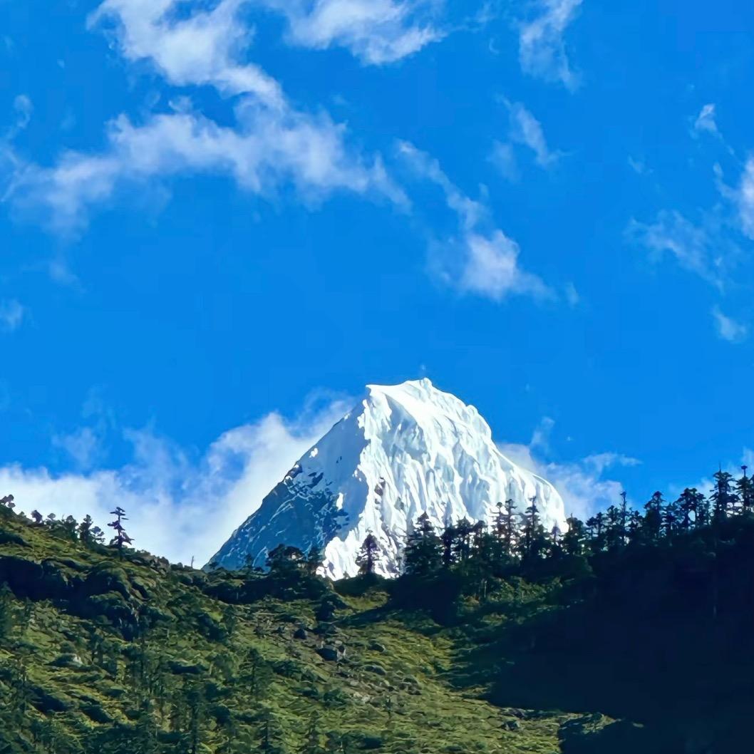 ……………………………