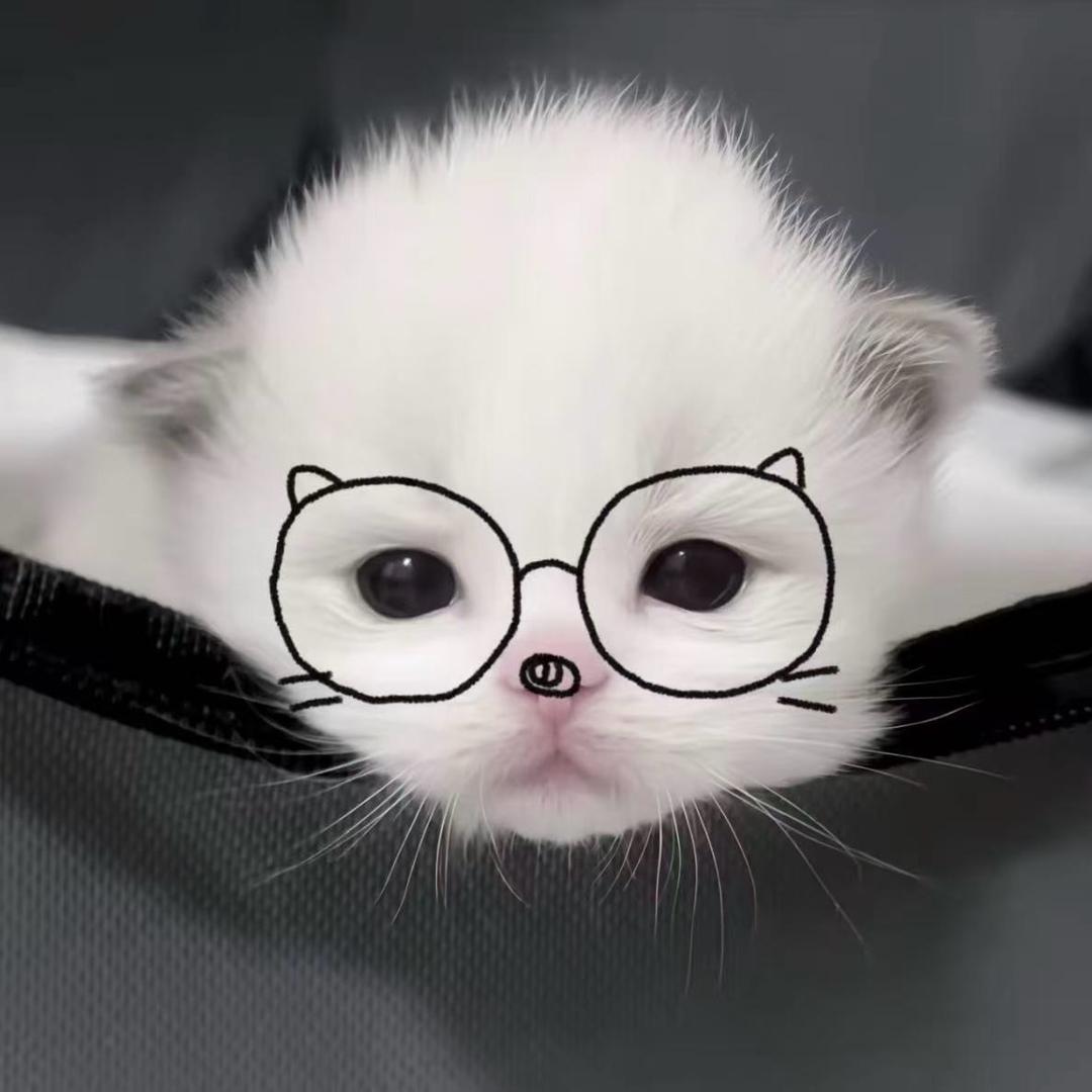 小痛。