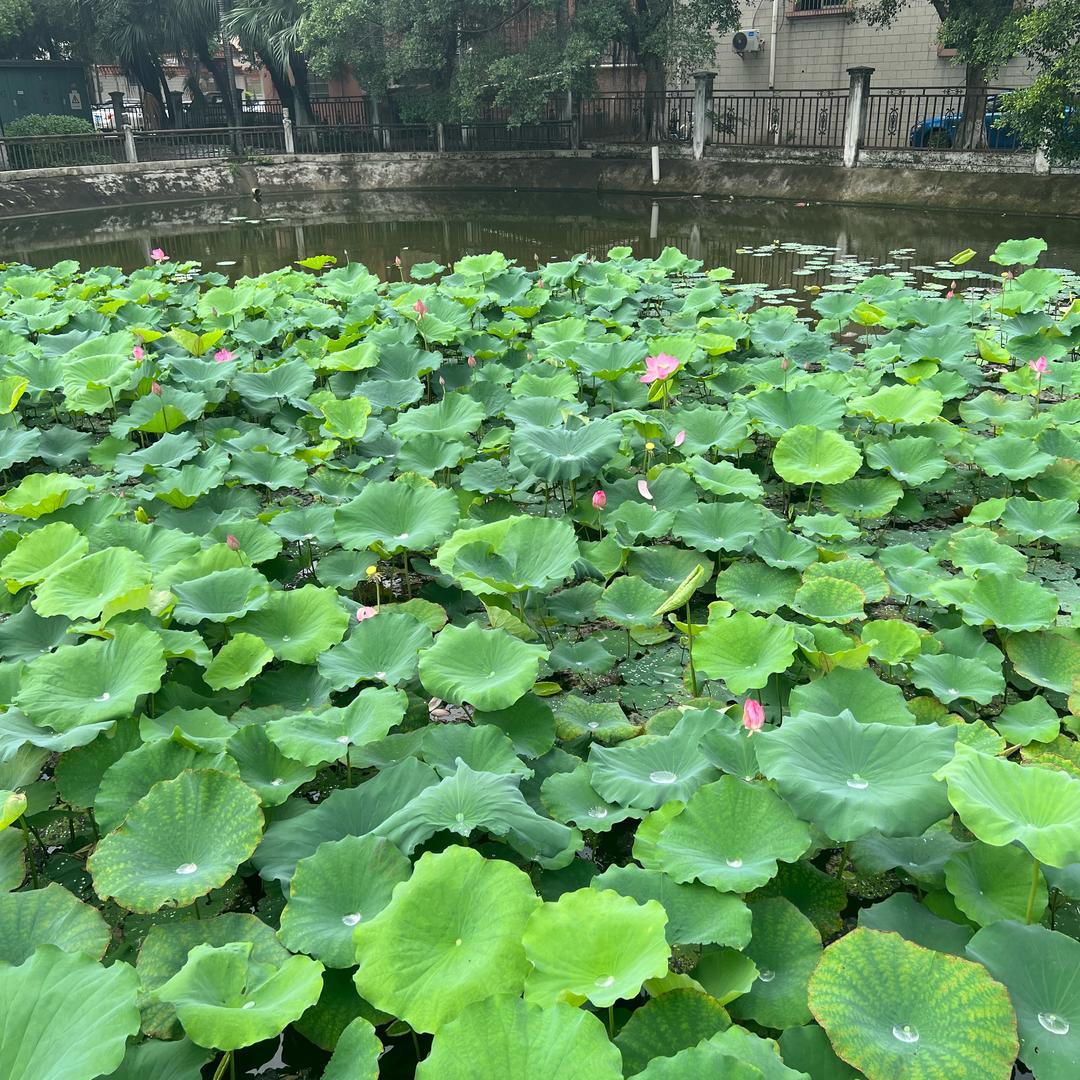 一梦千寻