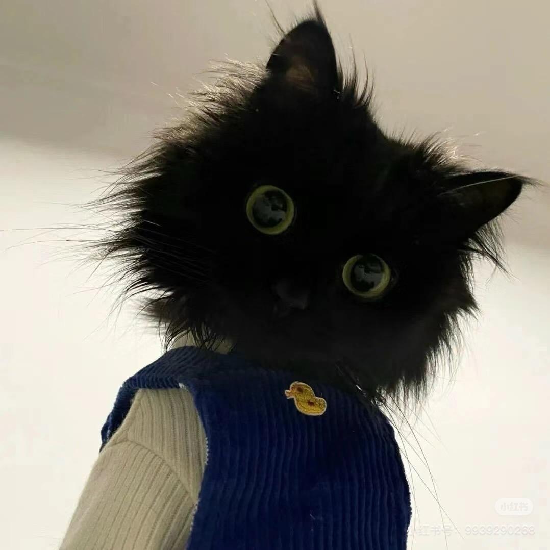 不瘦