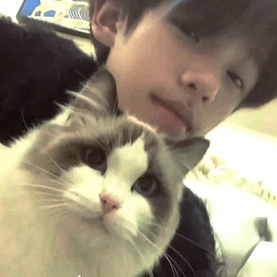 王者荣耀南山(接代)