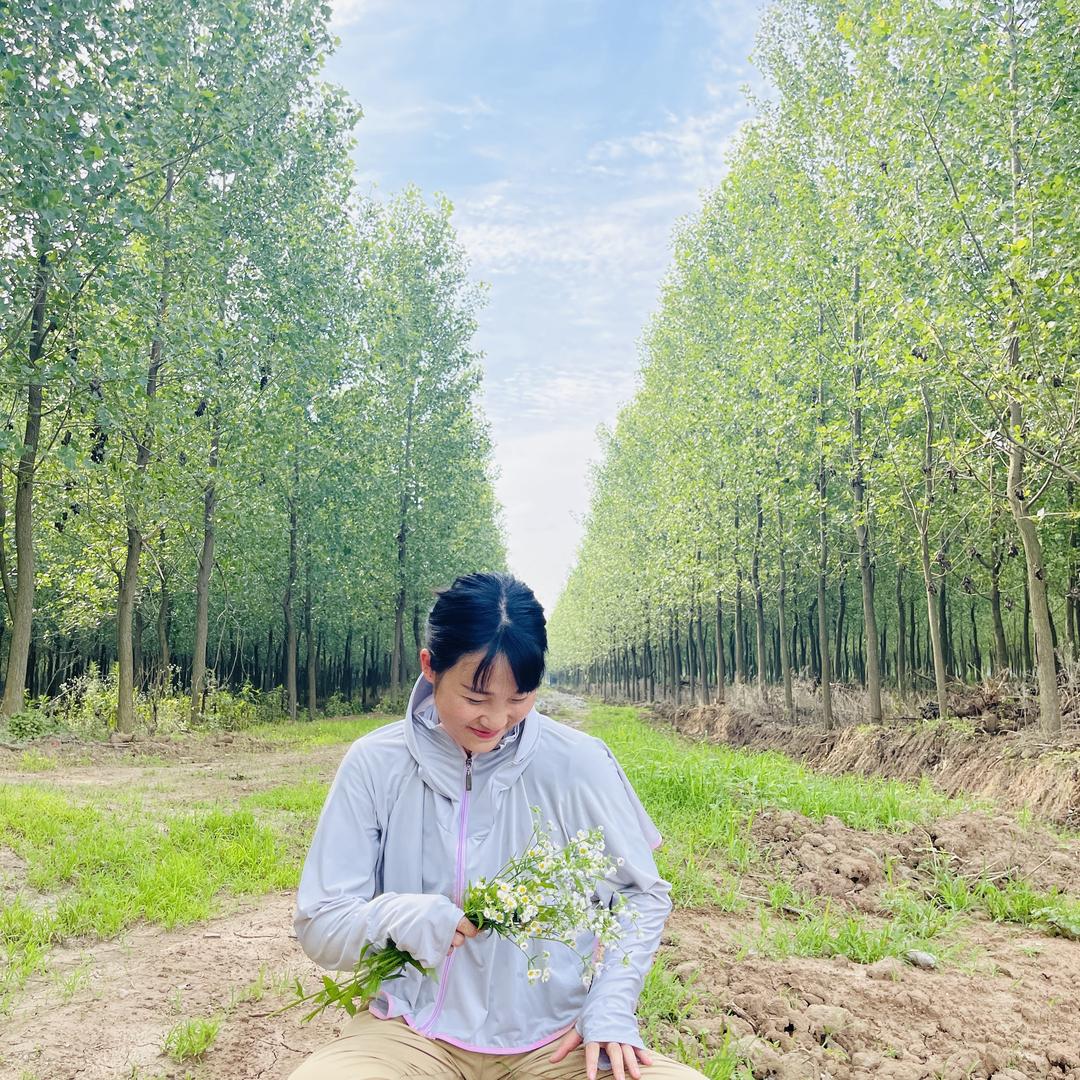 洪湖阿倩