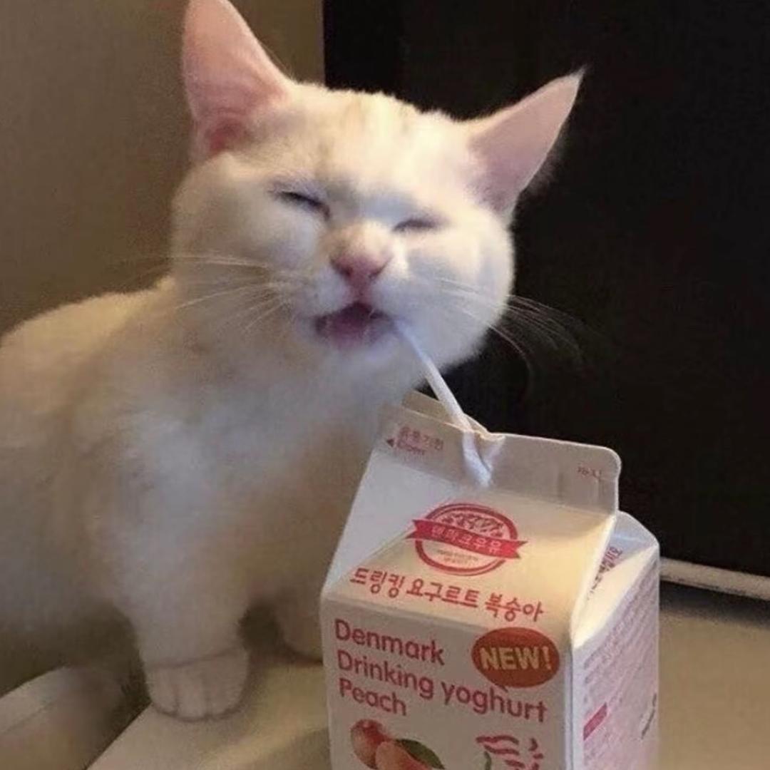 方糕什么味