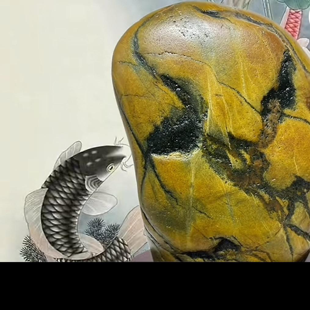 小胖观赏石2