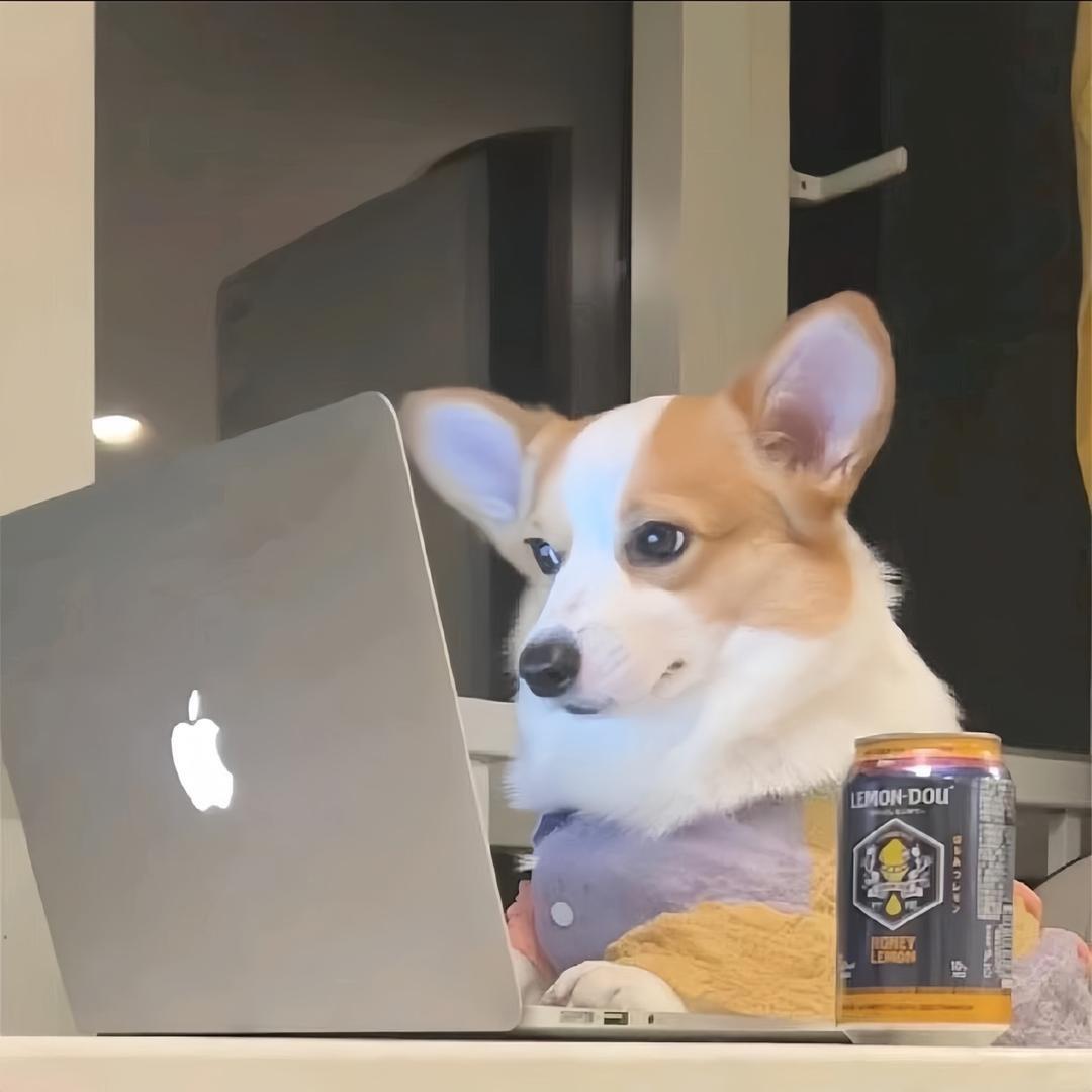 陈俊松
