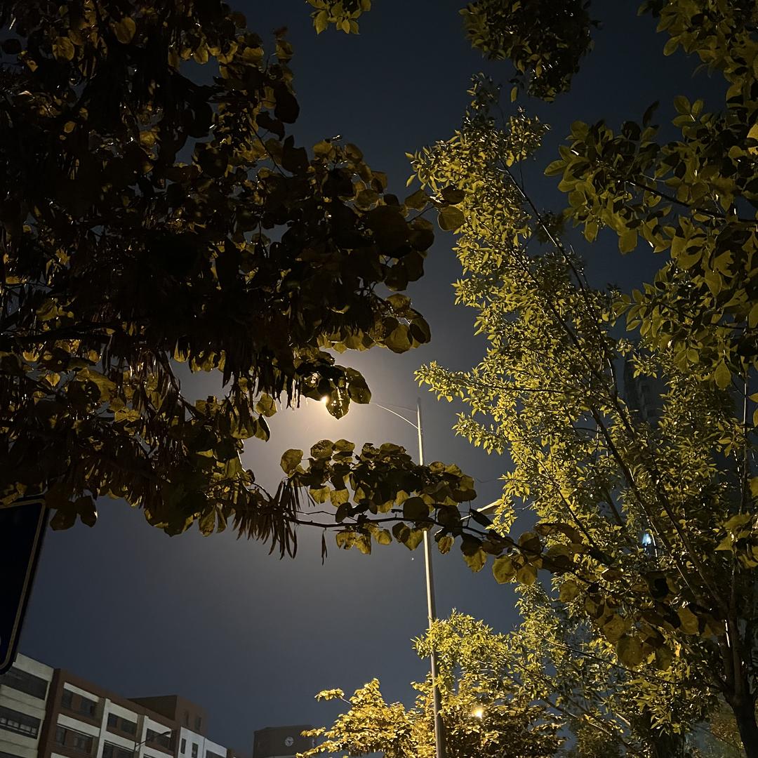 艺虎速森电动车专卖店