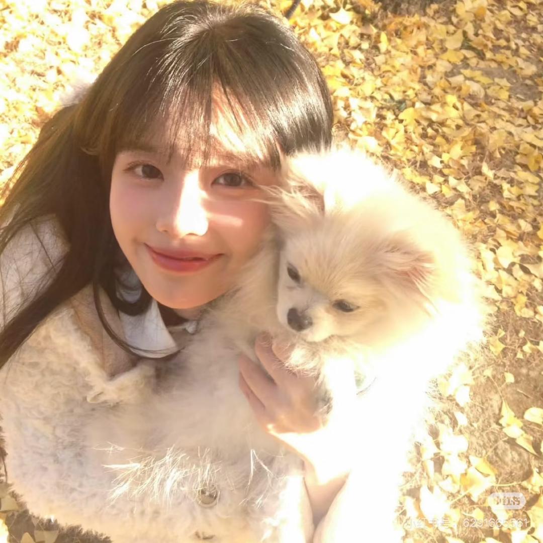 Sunshine