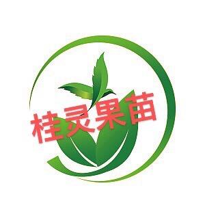 桂灵果苗 「果苗批发培育」
