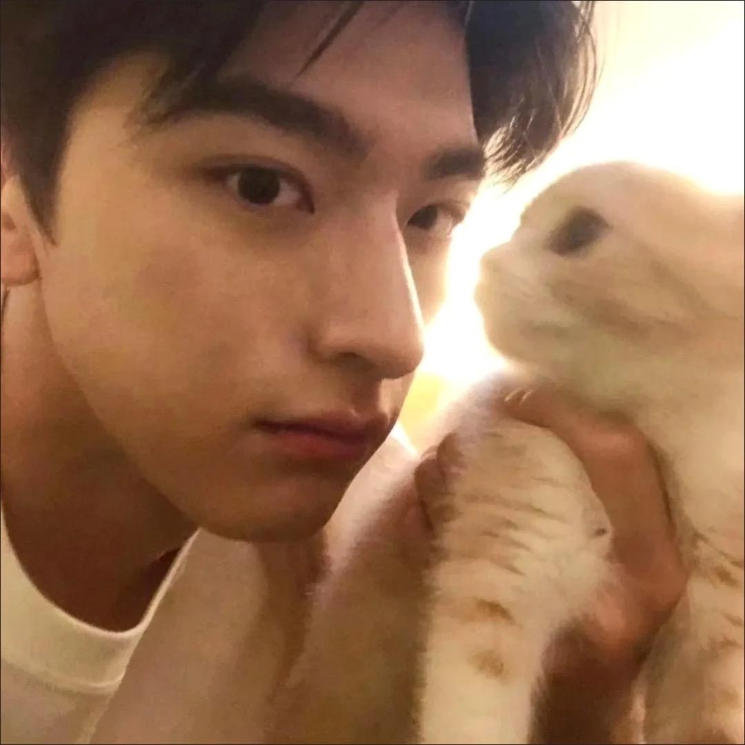 01♪（林一专属拜拜版🐯）