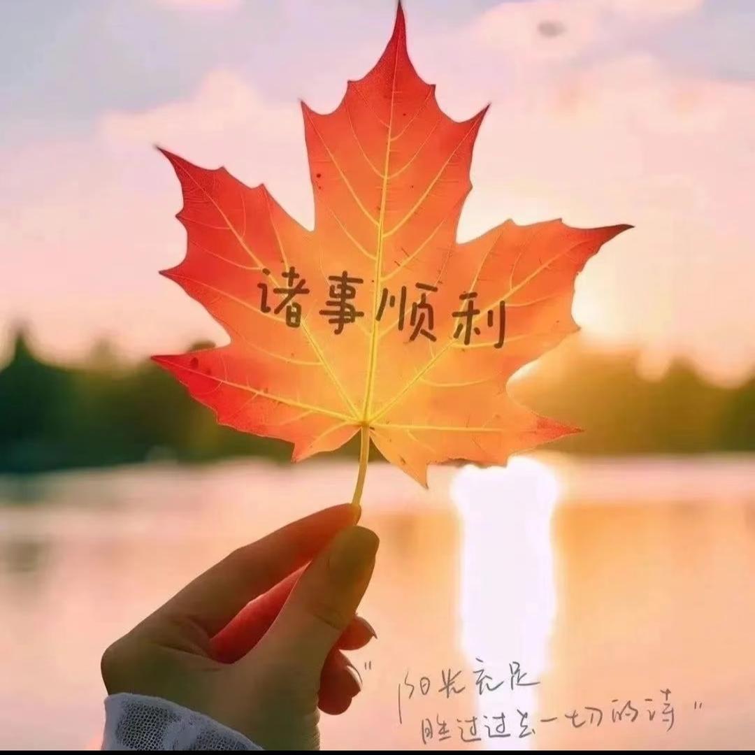 🏆7️⃣姑娘品味🥇🏵