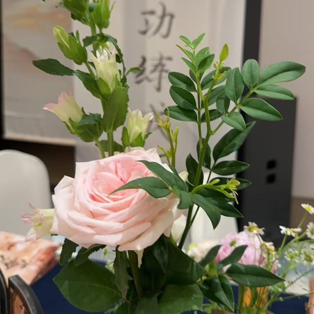 (¥女人不在浪漫¥)🧘♀️