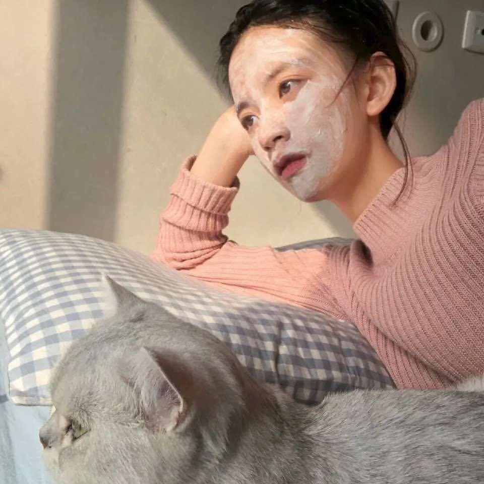 一只猫