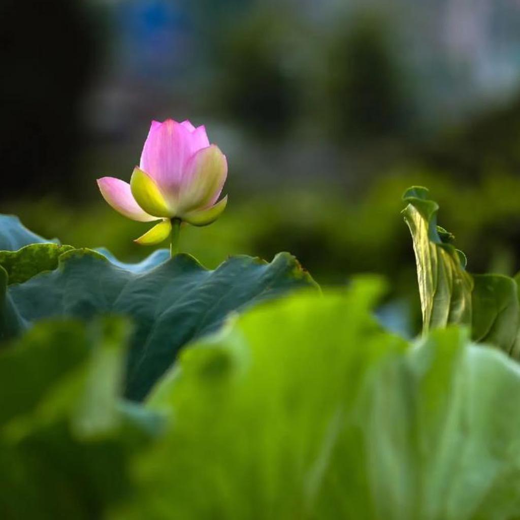 幸福快乐
