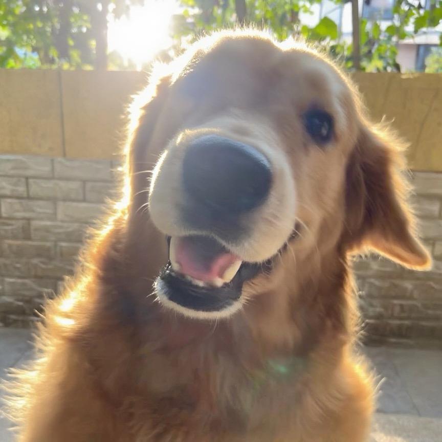 给我一支没有墨水的钢笔