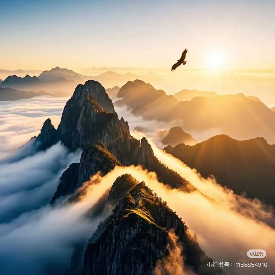 笑看风云淡