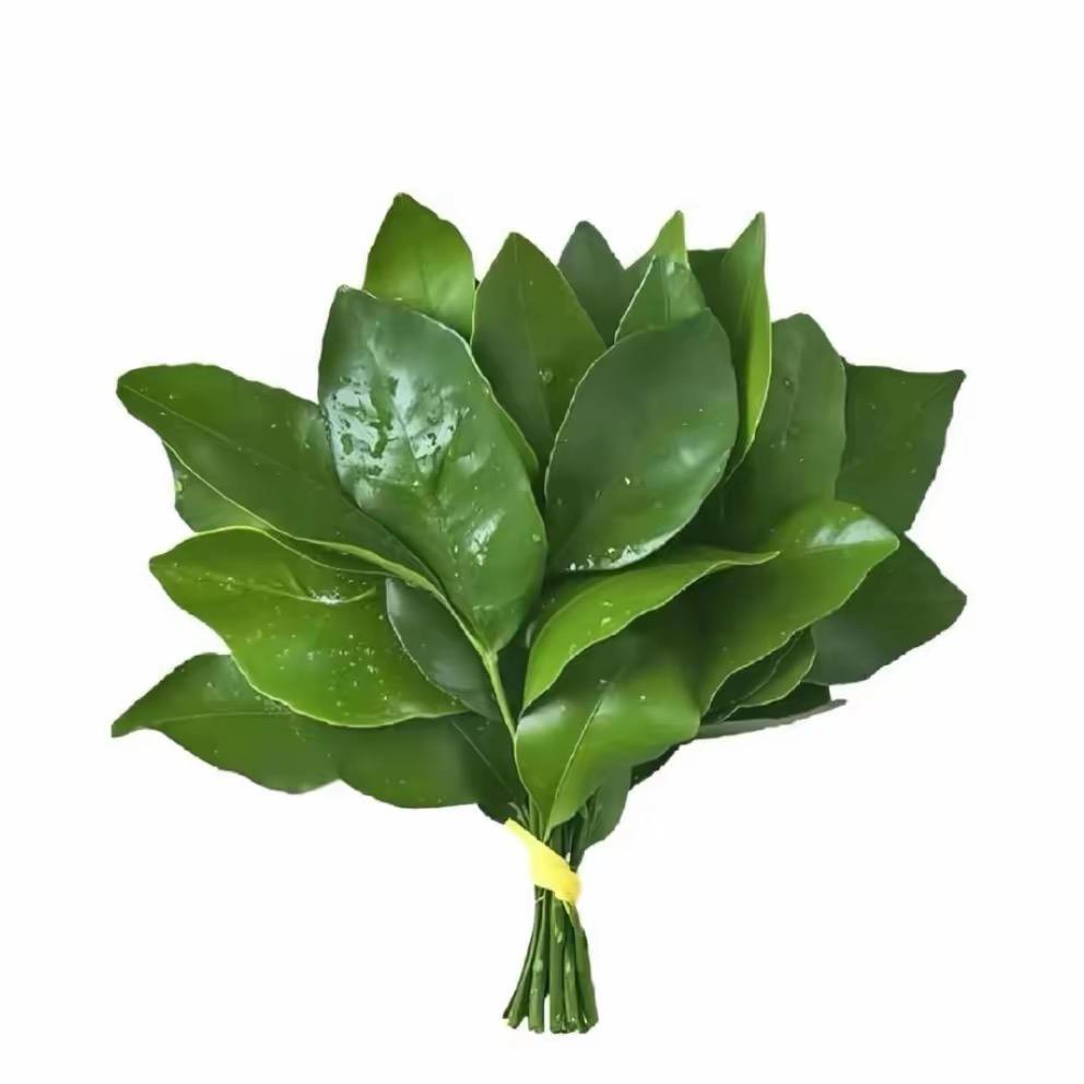 @别捏我小脸ˡᵃʕ•̫͡•ʔ