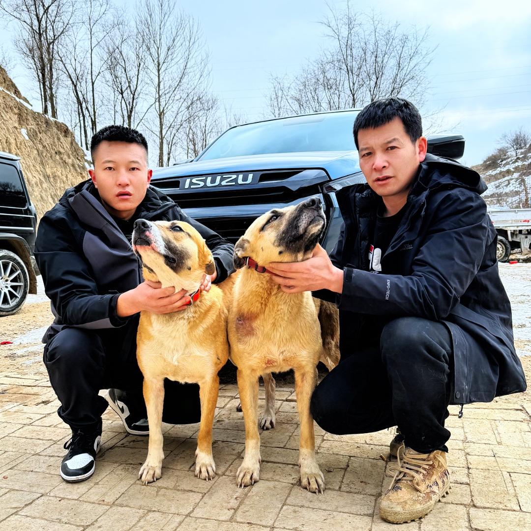 云舟渡