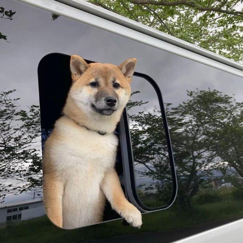 大可不必
