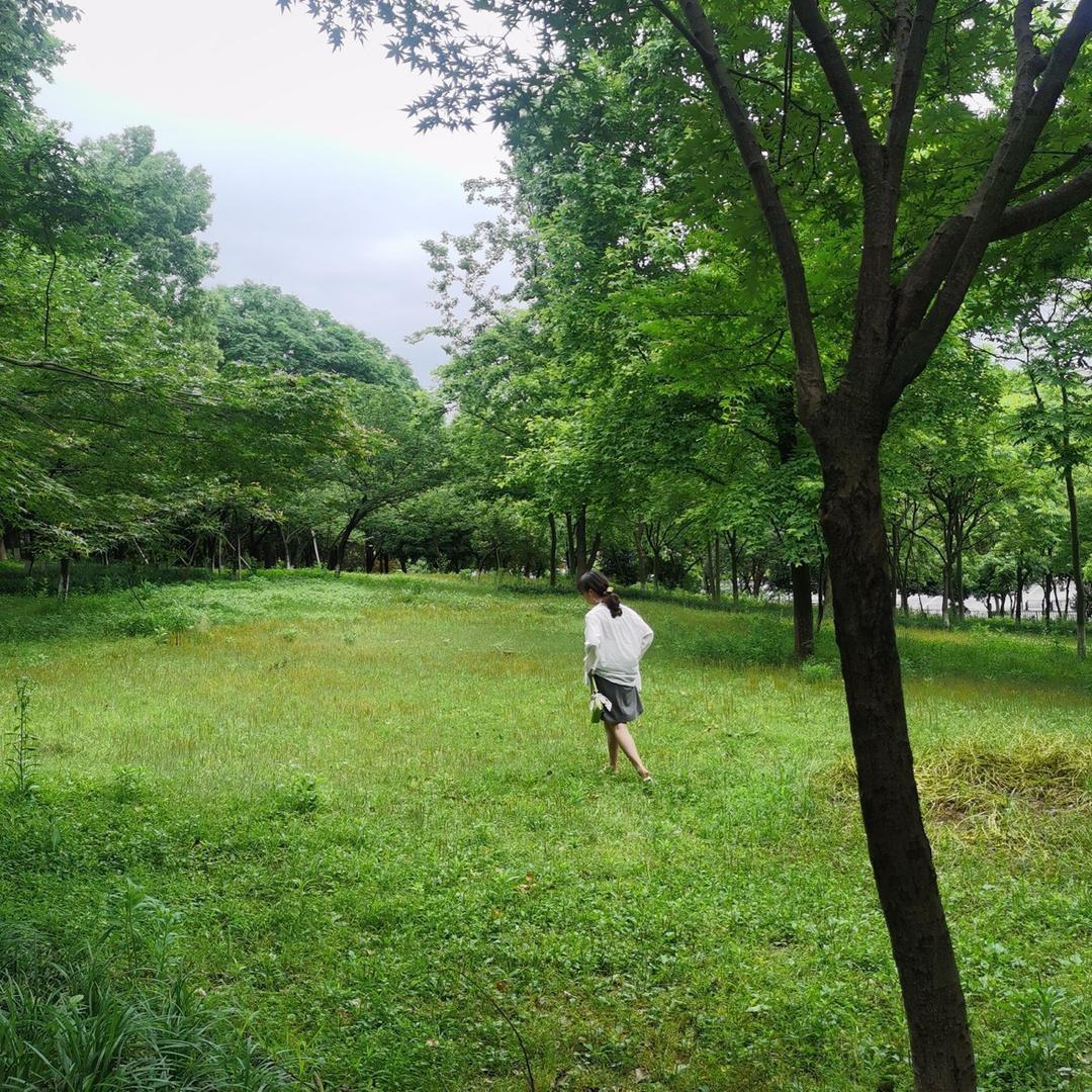 阿里里