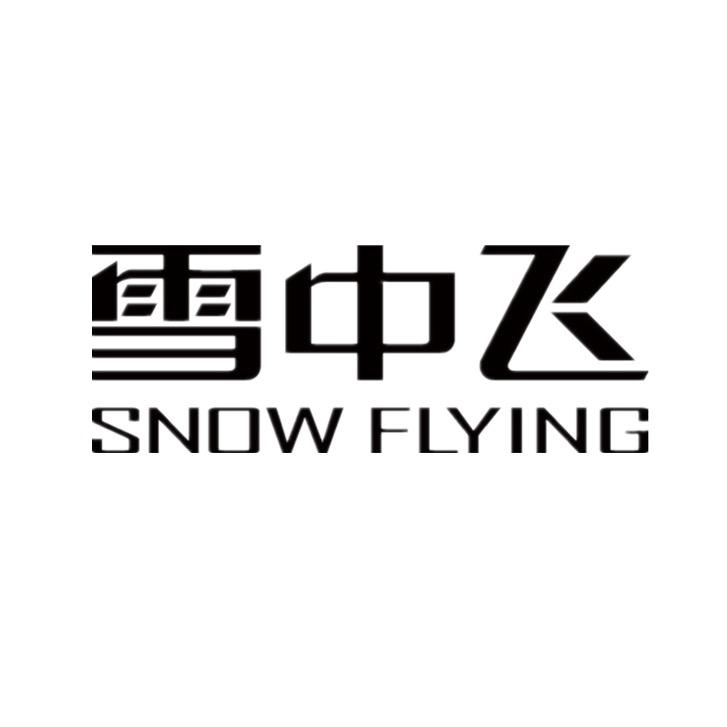 雪中飞龙德专卖店