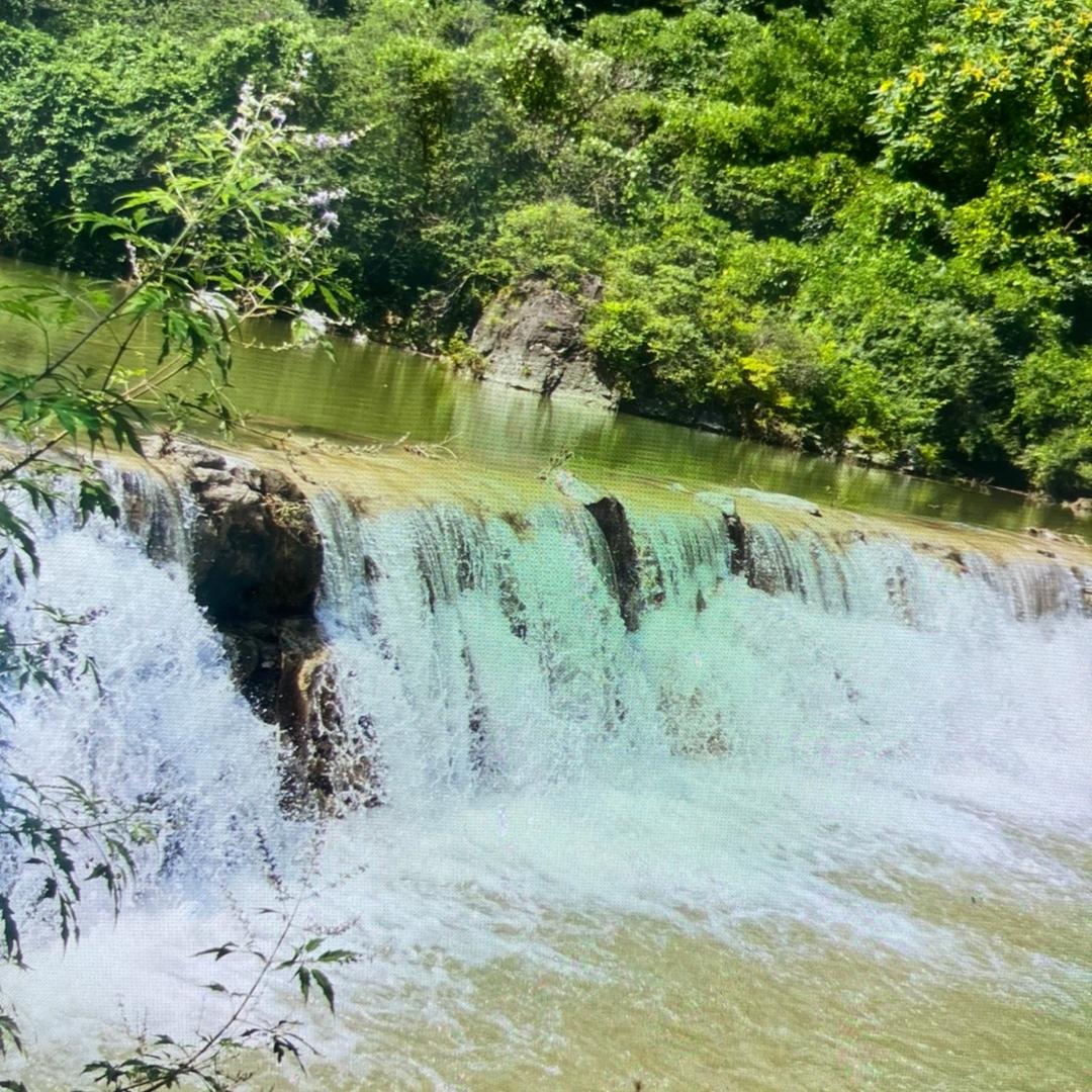 八零后小胖（二斤）