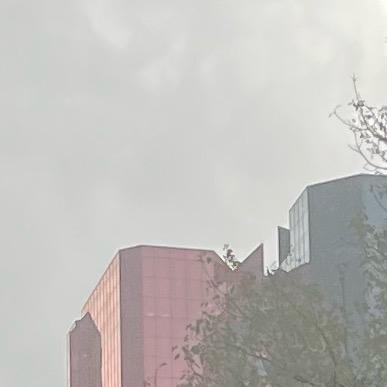 香港历险记