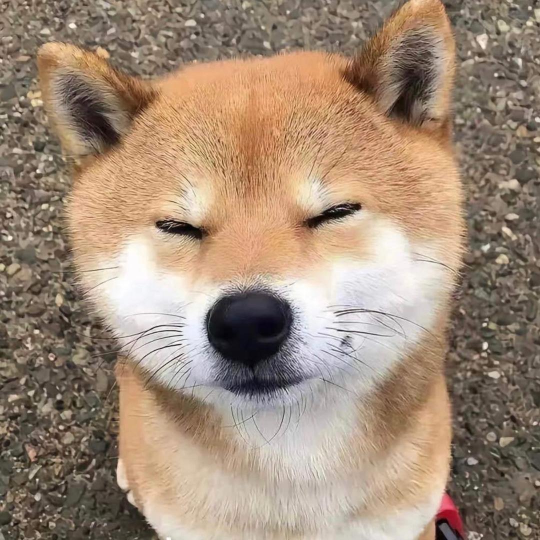 手拿把掐🤏🤏🤏🤏