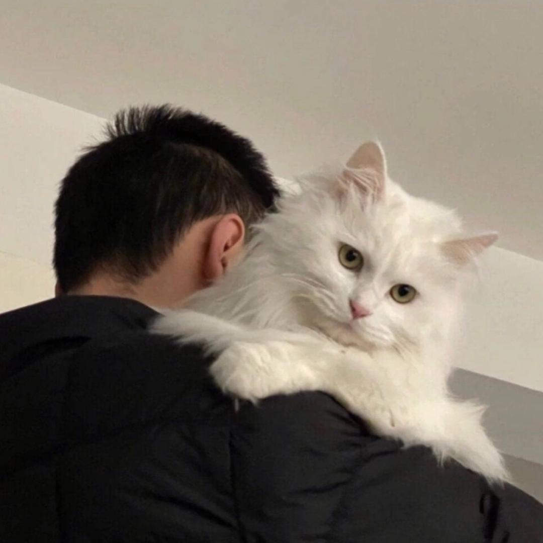 涉昀