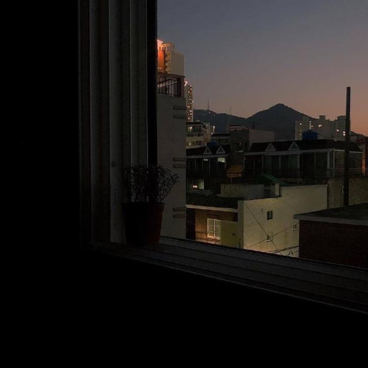 林钦浩实名观看