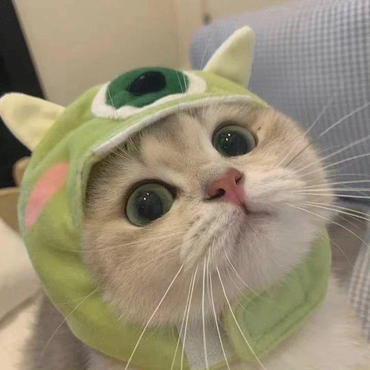 杜杜有点饿