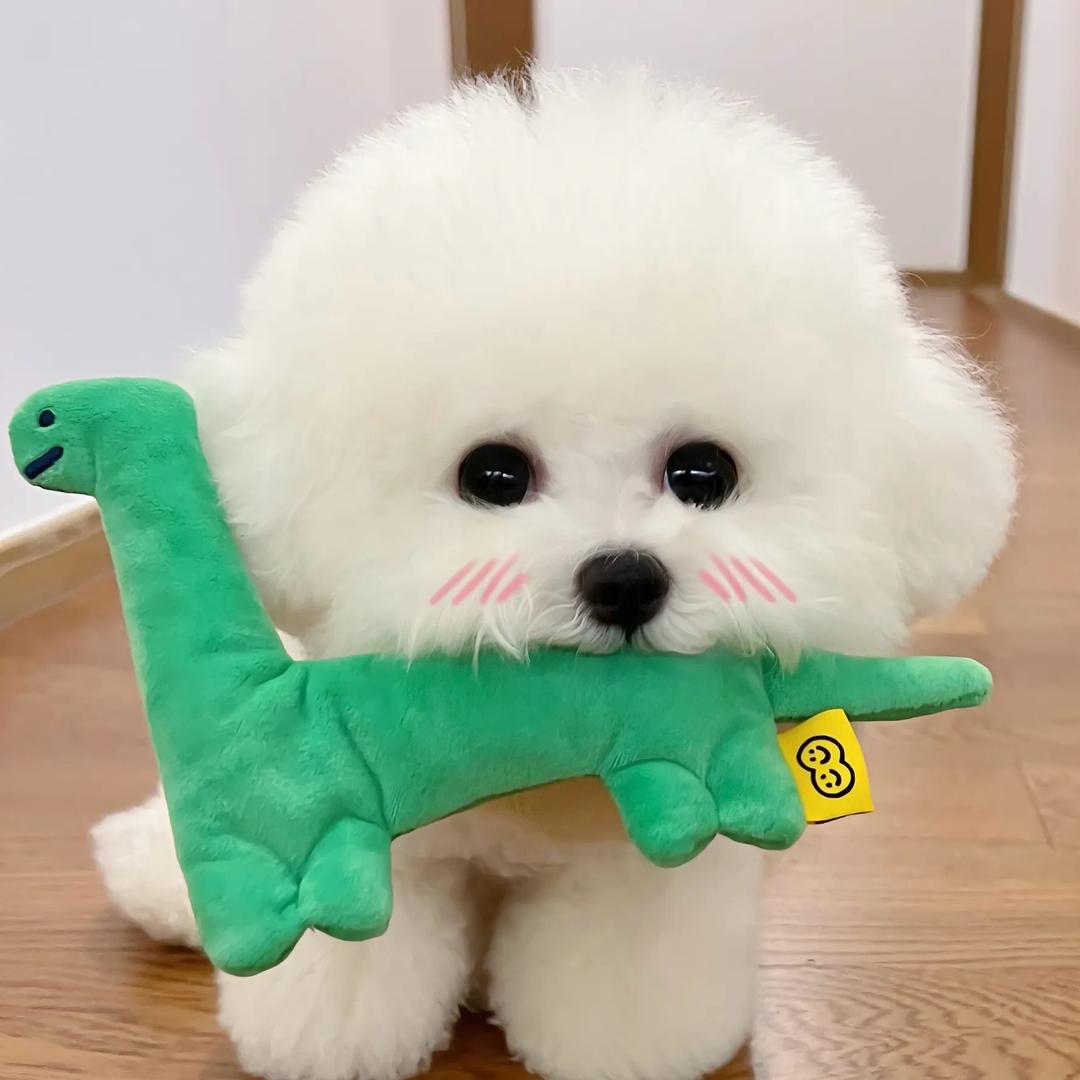 养鱼🐳小雅