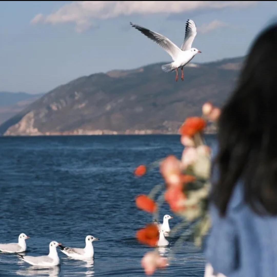 服务电商营业执照