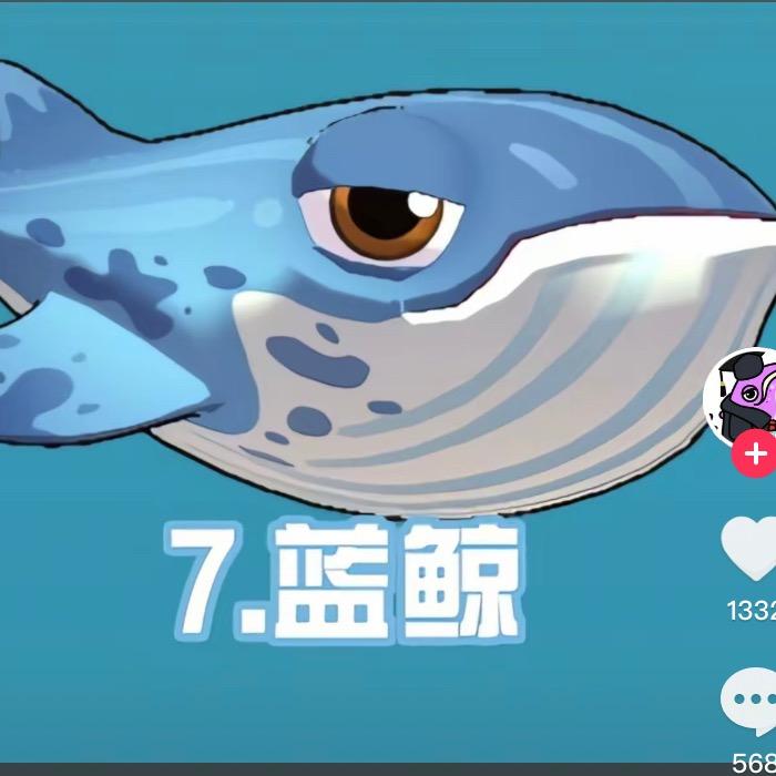 阿通澳角本港海鲜
