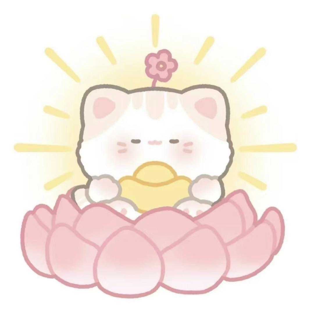 豆包🍰提拉米苏