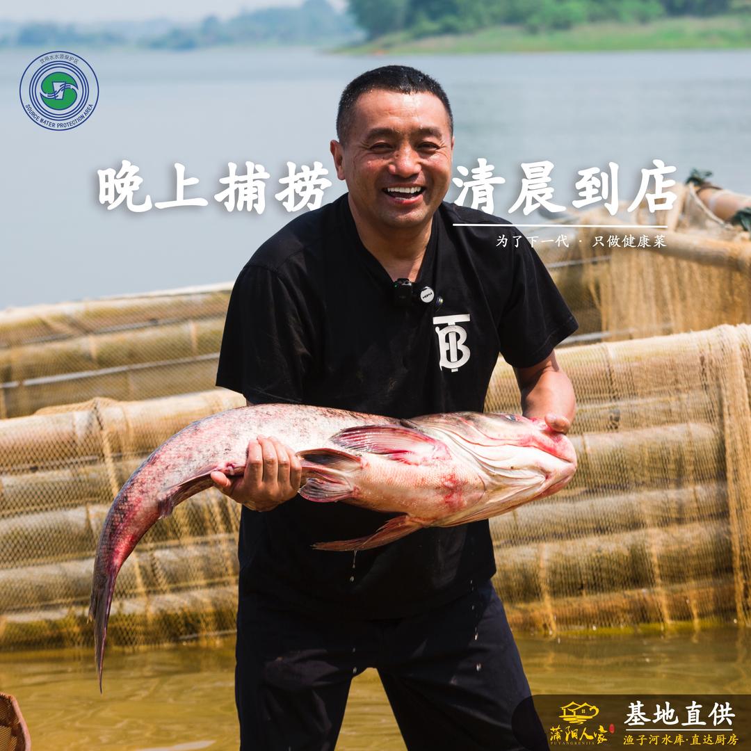 陈明-蒲阳人家