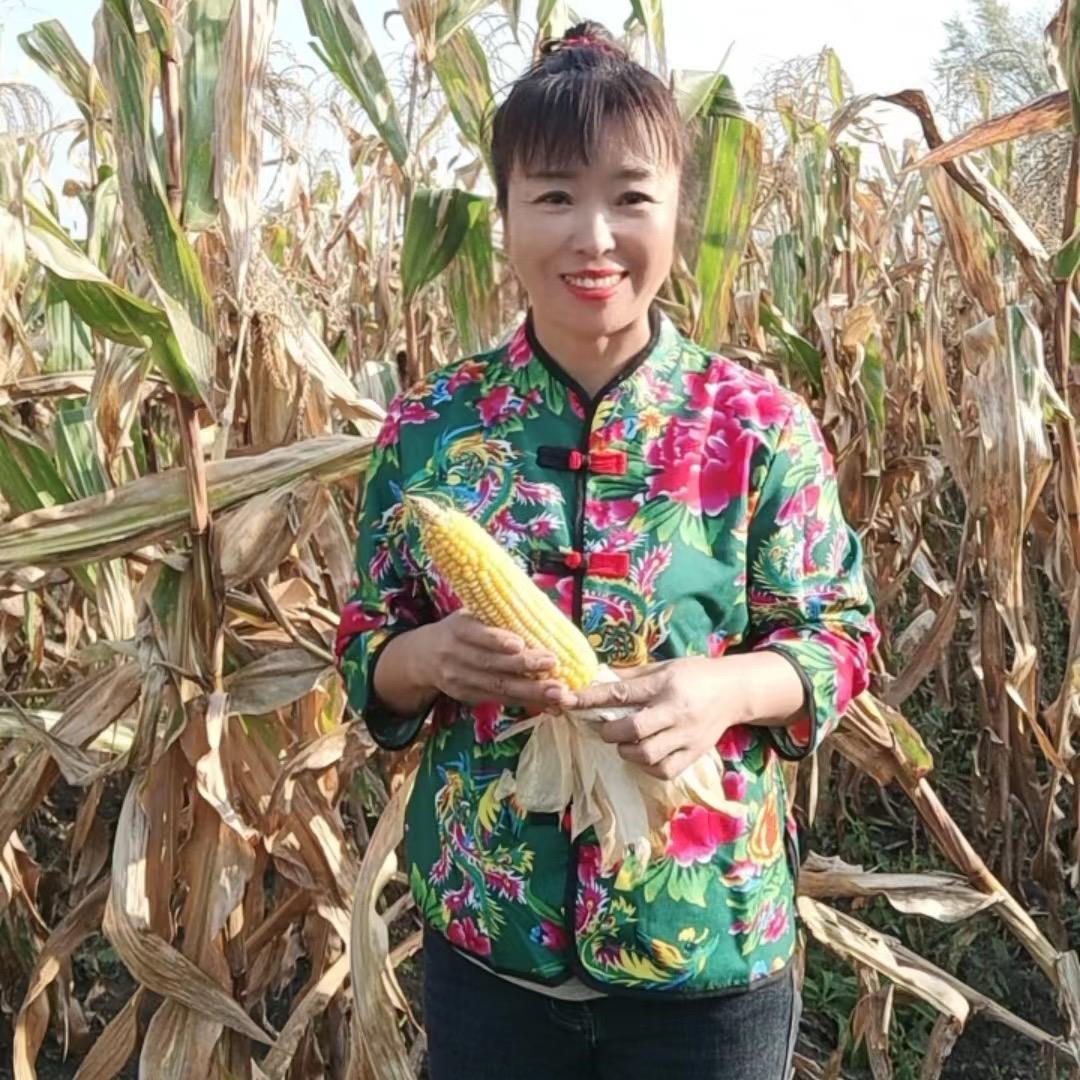 丛丹