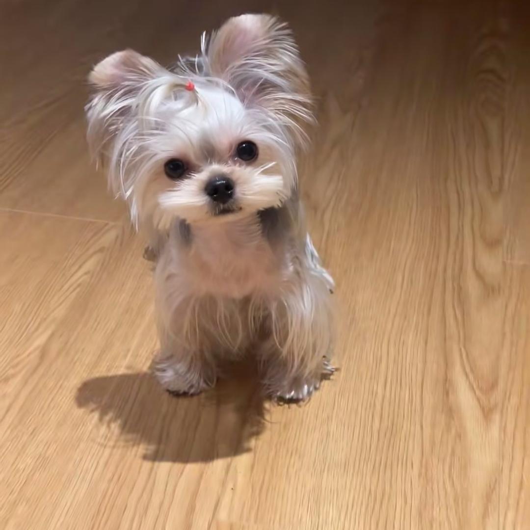 小约
