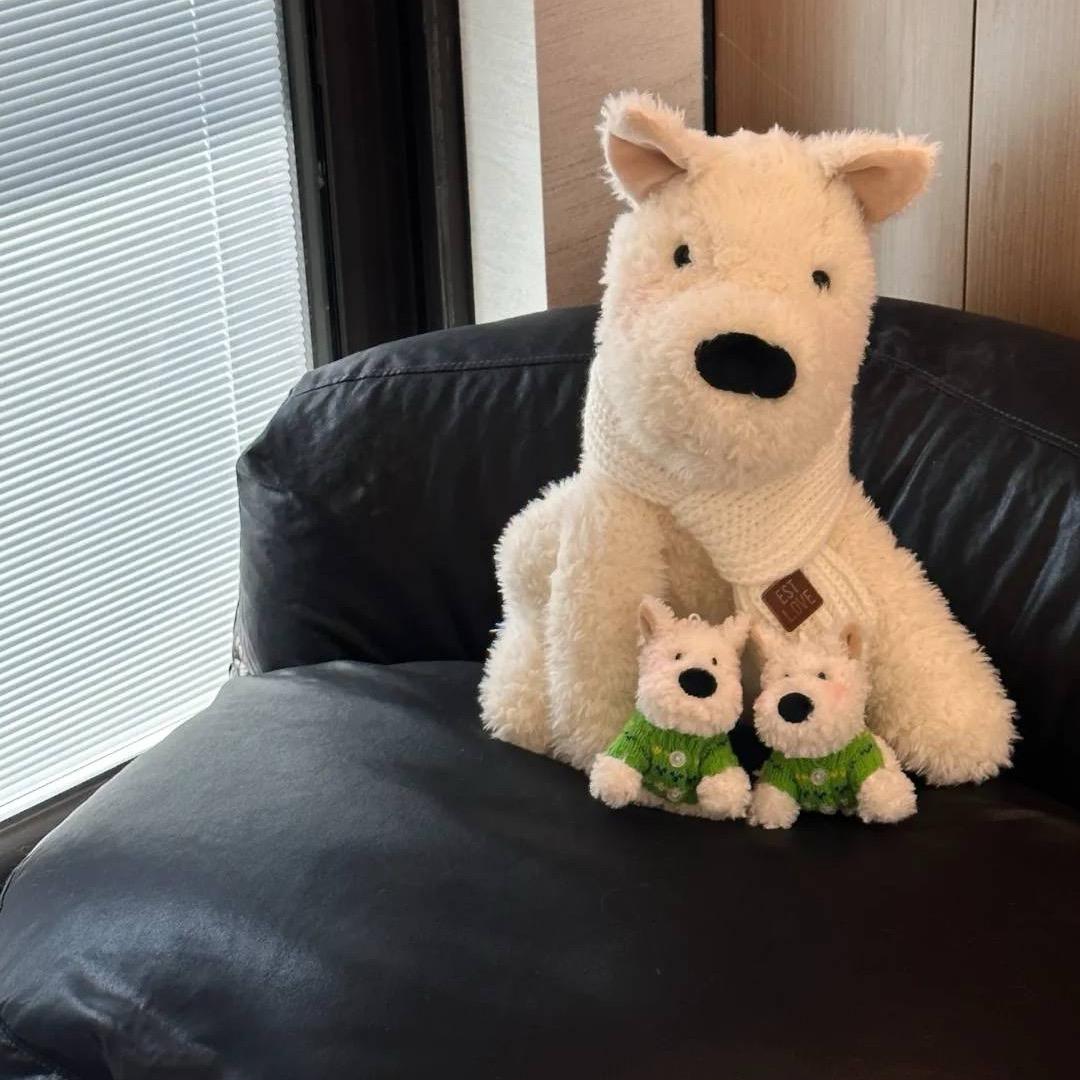 异想天开的毛毛