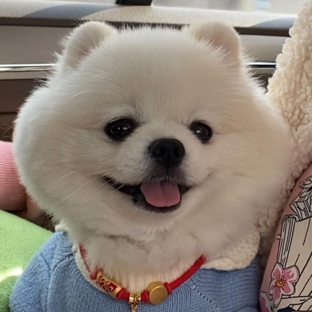 墩儿墩儿