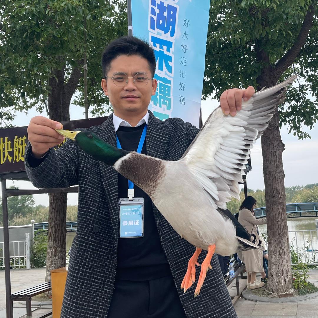 鸭会长（鸭哥）