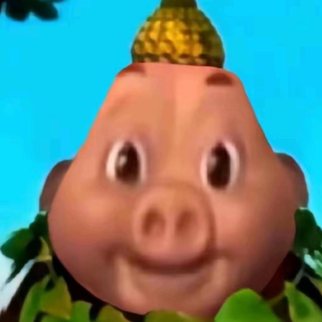 🐽