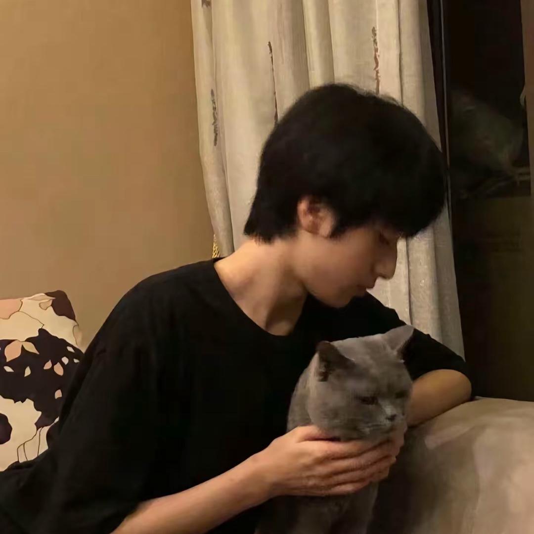 猫猫豹豹炫口糖