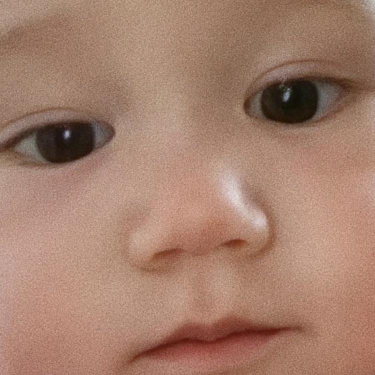 西八八八八八八