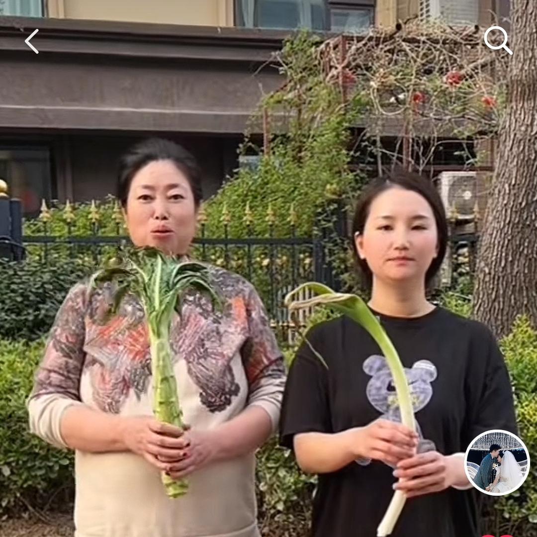 小小洁（婆媳）