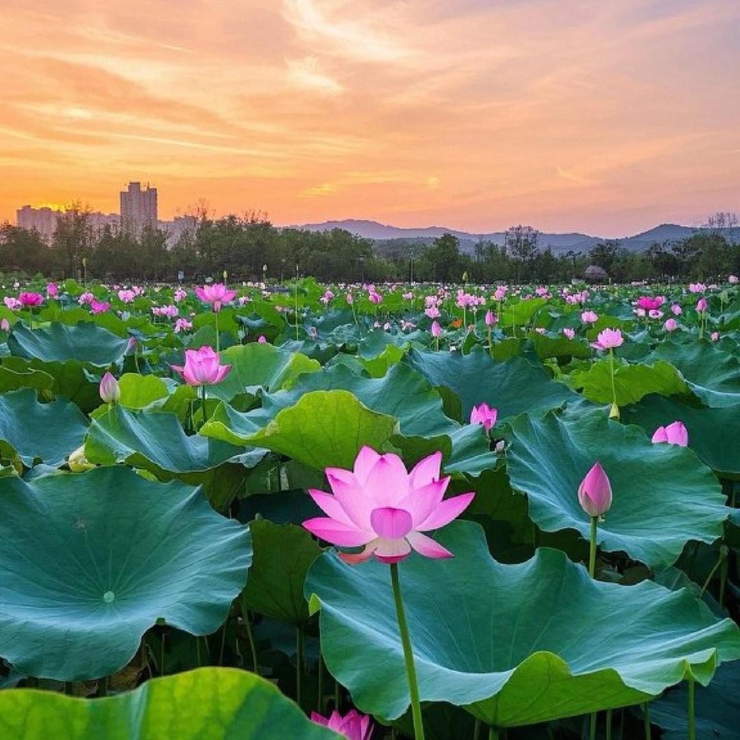 瀚玥熙精选好货店